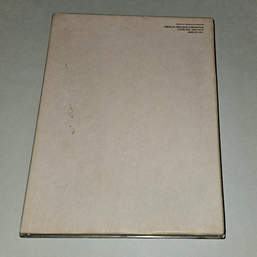 VTG American Greetings Rose Stationery Decorated Plain Sheets Envelopes Lot READ